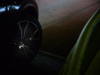 LR5_EDIT-EXPORT_BMW-X2-98