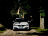 BMW_316d-MONTEFALCO_Copy-Mrlukkor-45