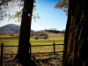 2013-10-27-13.00.05OBK_SUBARU-OUTBACK_copyMrlukkor