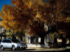 2013-10-27-13.21.15OBK_SUBARU-OUTBACK_copyMrlukkor