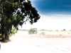 VOLVO-V40-D3-CROSS-COUNTRY_Copy-Mrlukkor-4