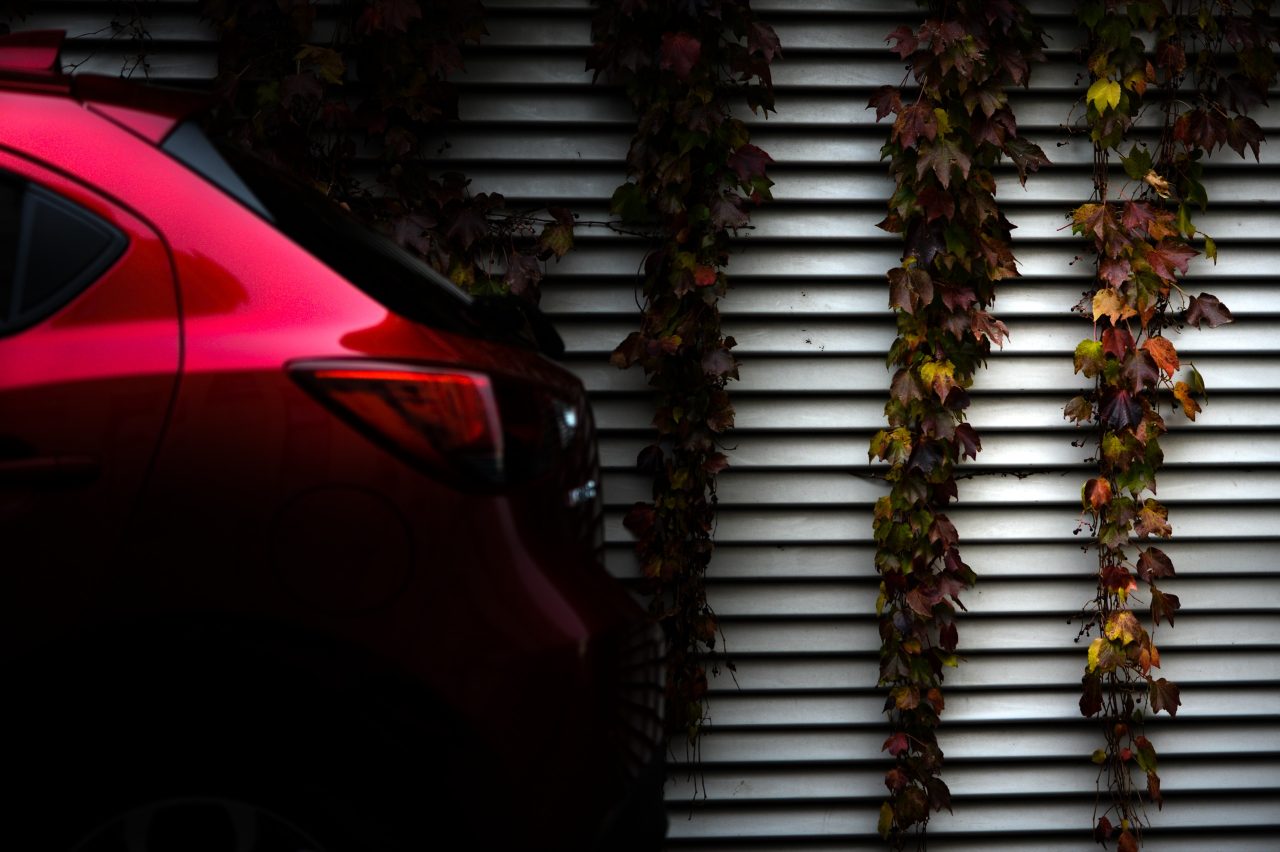 MAZDA 2 - "AUTUMN" ©lucaromano